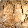 Chekkalu - Click here to View more details about this Product